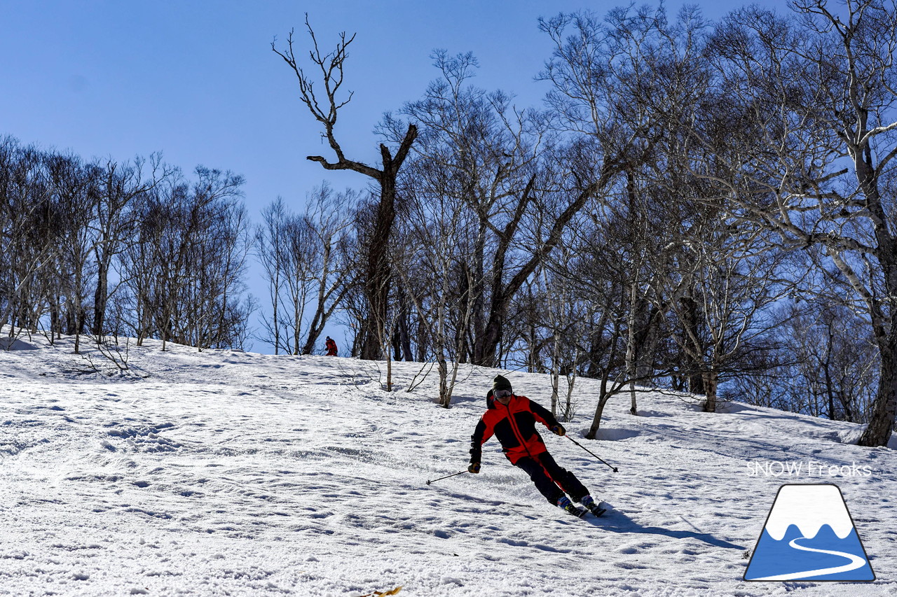 ニセコグラン・ヒラフ DYNASTAR SKI TEST RIDE DAYS Photo Session!!最高の天気に恵まれたニセコに、最高の仲間たちが集まりました☆